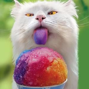 Meet your Posher, Wendy